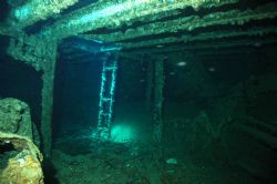 Thistlgorm
Location: Sha'ab Al, Red Sea
Depth: 30m
Cam... by Stevan Filipovich 